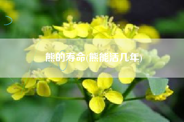 熊的寿命(熊能活几年)