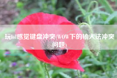 玩lol感觉键盘冲突(WOW下的输入法冲突问题)