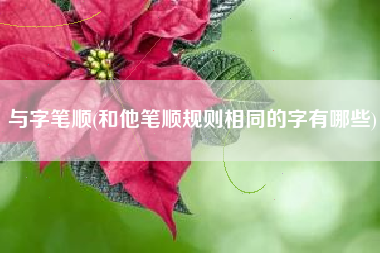 与字笔顺(和他笔顺规则相同的字有哪些)