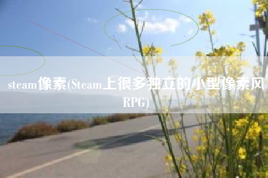 steam像素(Steam上很多独立的小型像素风RPG)