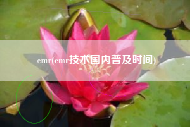 emr(emr技术国内普及时间)