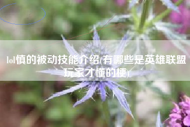 lol慎的被动技能介绍(有哪些是英雄联盟玩家才懂的梗)