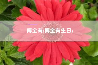 傅全有(傅全有生日)