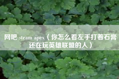 网吧 steam apex（你怎么看左手打着石膏还在玩英雄联盟的人）