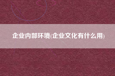 企业内部环境(企业文化有什么用)