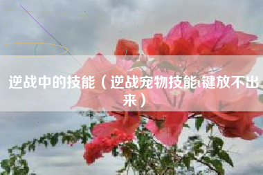 逆战中的技能（逆战宠物技能t键放不出来）