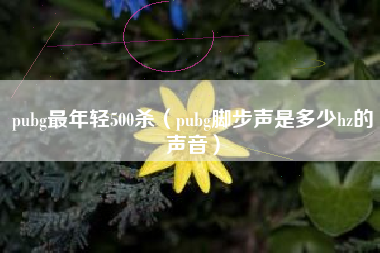 pubg最年轻500杀（pubg脚步声是多少hz的声音）