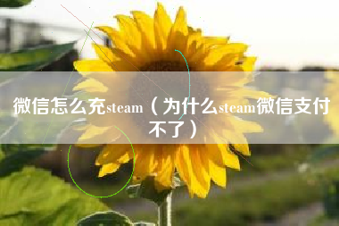 微信怎么充steam（为什么steam微信支付不了）