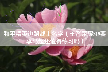 和平精英边路战士名字（王者荣耀S19赛季马超还值得练习吗）