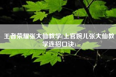 王者荣耀张大仙教学(上官婉儿张大仙教学连招口诀)