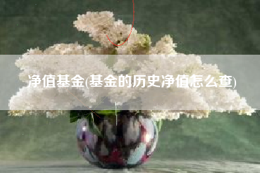 净值基金(基金的历史净值怎么查)