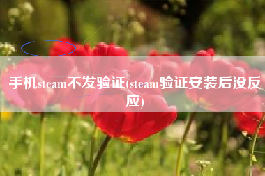 手机steam不发验证(steam验证安装后没反应)