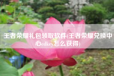 王者荣耀礼包领取软件(王者荣耀兑换中心cdkey怎么获得)