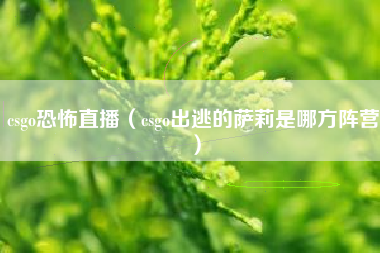 csgo恐怖直播（csgo出逃的萨莉是哪方阵营）