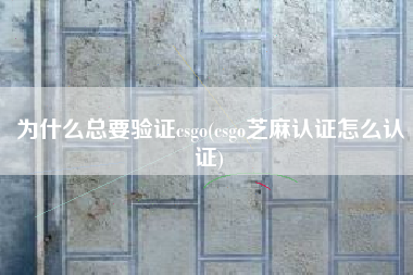 为什么总要验证csgo(csgo芝麻认证怎么认证)