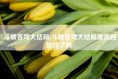 斗破苍穹大结局(斗破苍穹大结局萧炎回地球了吗)