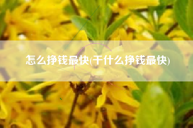 怎么挣钱最快(干什么挣钱最快)