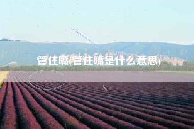 管住嘴(管住嘴是什么意思)