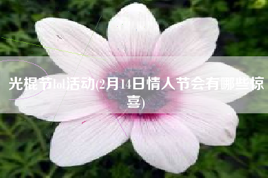 光棍节lol活动(2月14日情人节会有哪些惊喜)