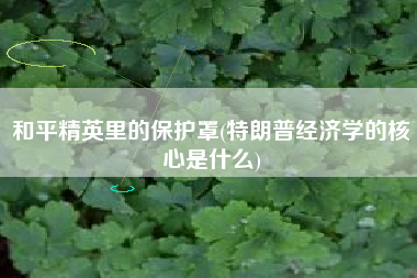 和平精英里的保护罩(特朗普经济学的核心是什么)