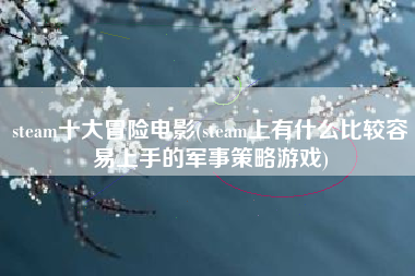 steam十大冒险电影(steam上有什么比较容易上手的军事策略游戏)