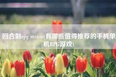 回合制rpg steam(有哪些值得推荐的手机单机RPG游戏)