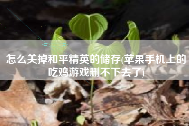 怎么关掉和平精英的储存(苹果手机上的吃鸡游戏删不下去了)