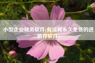 小型企业财务软件(有没有永久免费的进销存软件)