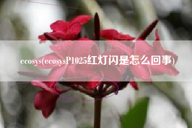 ecosys(ecosysP1025红灯闪是怎么回事)