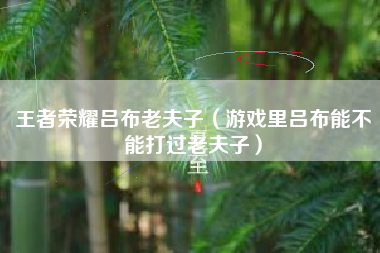 王者荣耀吕布老夫子（游戏里吕布能不能打过老夫子）