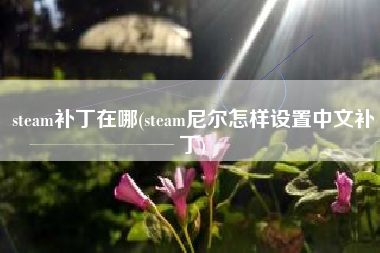 steam补丁在哪(steam尼尔怎样设置中文补丁)