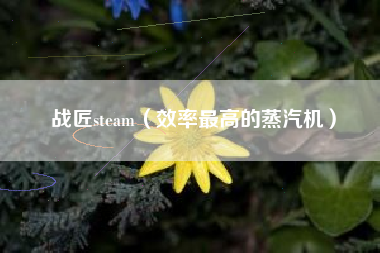 战匠steam（效率最高的蒸汽机）