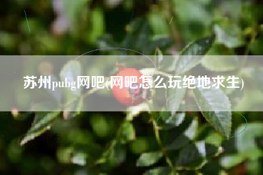 苏州pubg网吧(网吧怎么玩绝地求生)