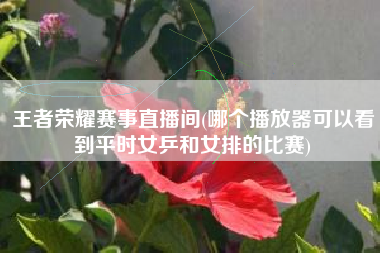 王者荣耀赛事直播间(哪个播放器可以看到平时女乒和女排的比赛)