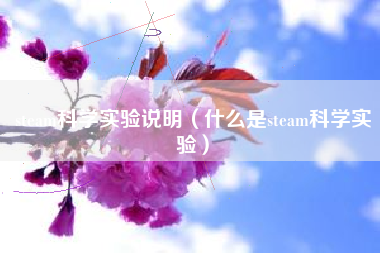 steam科学实验说明（什么是steam科学实验）