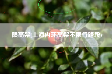 限高架(上海内环高架不限行路段)