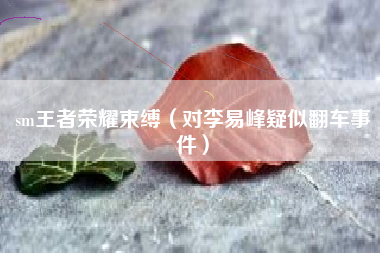 sm王者荣耀束缚（对李易峰疑似翻车事件）