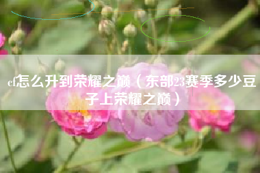 cf怎么升到荣耀之巅（东部23赛季多少豆子上荣耀之巅）