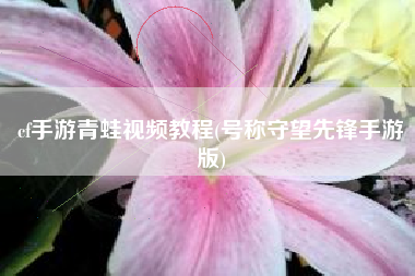 cf手游青蛙视频教程(号称守望先锋手游版)