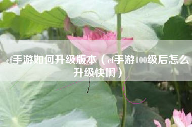 cf手游如何升级版本（cf手游100级后怎么升级快啊）