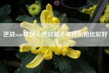 逆战scar咋玩（逆战新手买什么枪比较好）