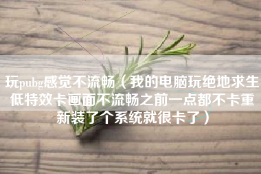 玩pubg感觉不流畅（我的电脑玩绝地求生低特效卡画面不流畅之前一点都不卡重新装了个系统就很卡了）