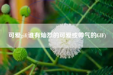 可爱gif(谁有灿烈的可爱或帅气的GIF)