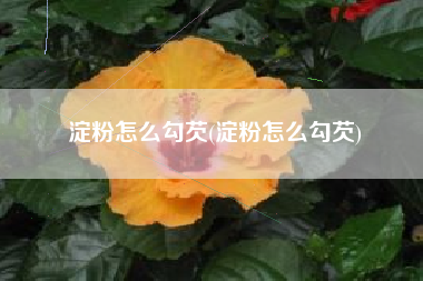 淀粉怎么勾芡(淀粉怎么勾芡)