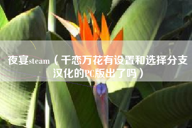 夜宴steam（千恋万花有设置和选择分支汉化的PC版出了吗）