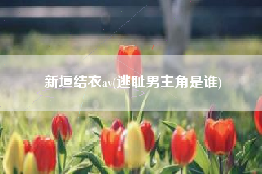 新垣结衣av(逃耻男主角是谁)