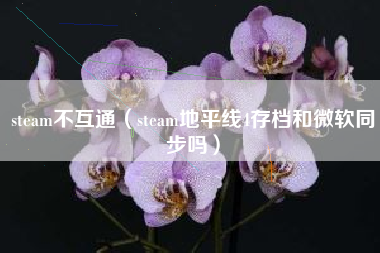 steam不互通（steam地平线4存档和微软同步吗）