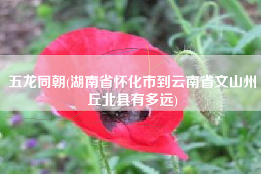 五龙同朝(湖南省怀化市到云南省文山州丘北县有多远)