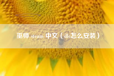 巫师 steam 中文（dlc怎么安装）