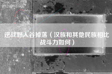 逆战野人谷掉落（汉族和其他民族相比战斗力如何）